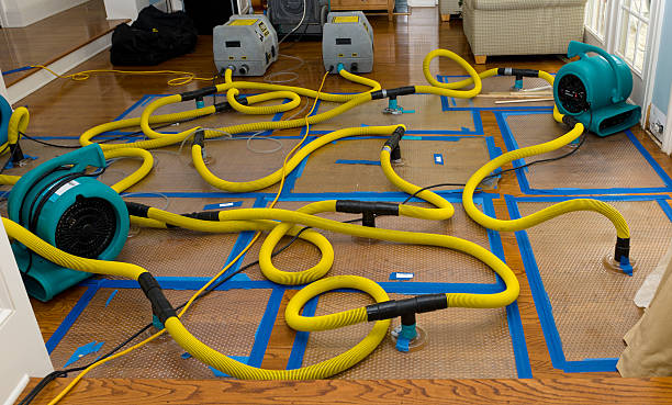 Professional Storm Water Damage Restoration technician working in Howell, UT